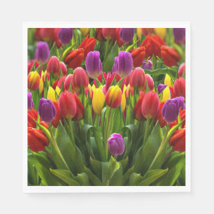 Serviette En Papier Tulipes lumineuses