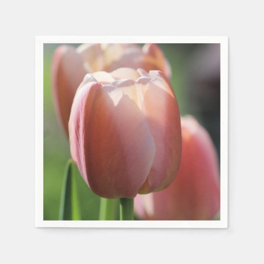 Serviette En Papier Tulipes roses (Devant)
