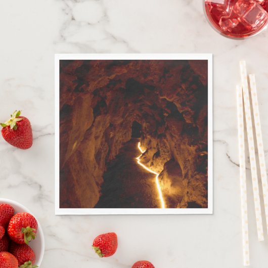 Serviette En Papier Tunnel secret (En situation)