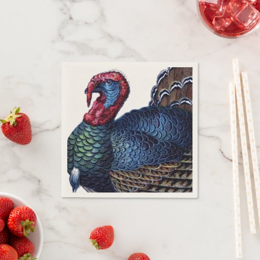 Serviette En Papier Turquie (En situation)