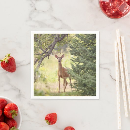 Serviette En Papier Un cerf solitaire (En situation)