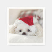 Serviette En Papier Un mignon chien blanc dans un Casquette de Noël ro (Devant)