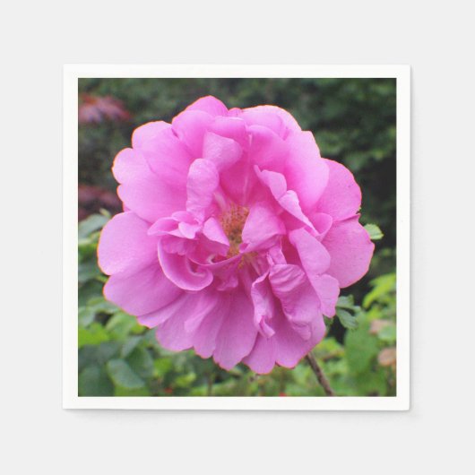 Serviette En Papier Une seule fleur rose (Devant)