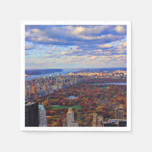 Serviette En Papier Une vue d'en haut : Automne à Central Park 01