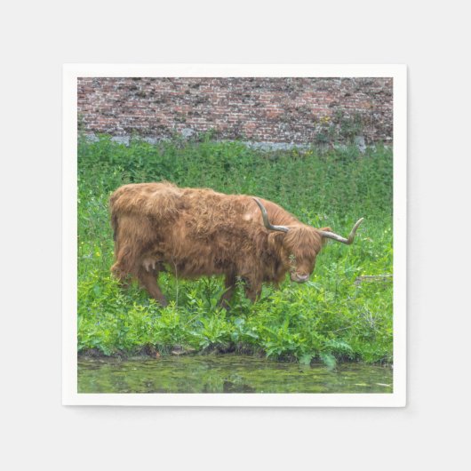 Serviette En Papier Vache des Highlands (Devant)