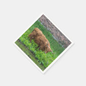 Serviette En Papier Vache des Highlands (Coin)