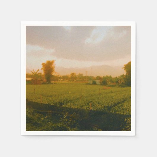 Serviette En Papier Vang Vieng - Laos (Devant)