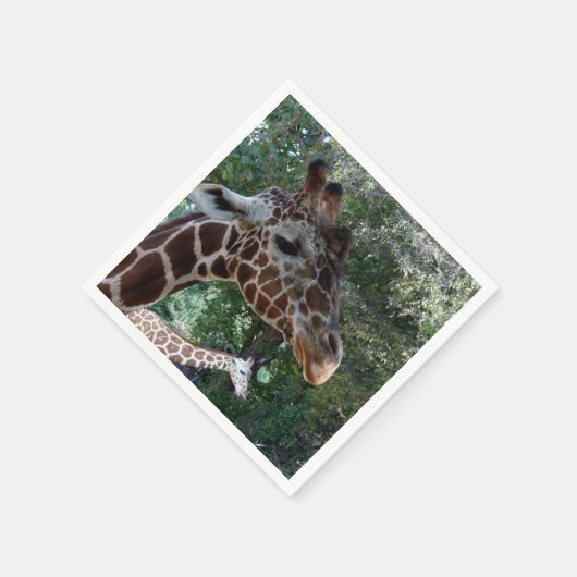 Serviette En Papier Véritable Giraffe Papier photo Naples (Coin)