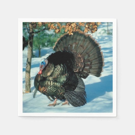 Serviette En Papier Véritable Turquie Noël Thankesgiving hiver Noël (Devant)