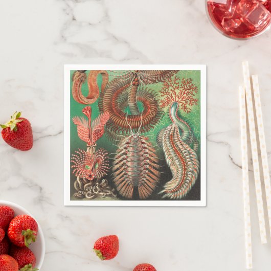 Serviette En Papier Vers, Annelids Chaetopoda par Ernst Haeckel (En situation)