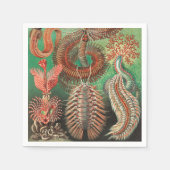 Serviette En Papier Vers, Annelids Chaetopoda par Ernst Haeckel (Devant)