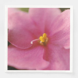 Serviette En Papier Violet africain rose pastel (Saintpaulia)