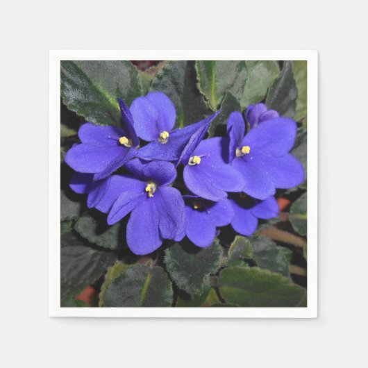 Serviette En Papier Violet royal bleu africain (Devant)
