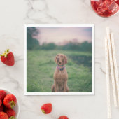 Serviette En Papier vizsla assise (En situation)
