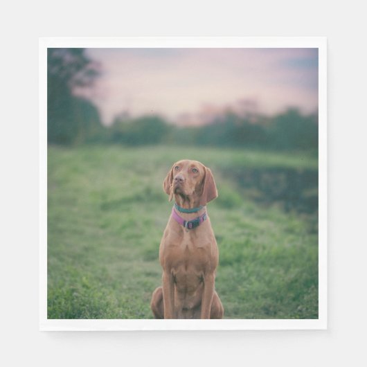 Serviette En Papier vizsla assise (Devant)