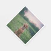 Serviette En Papier vizsla assise (Coin)