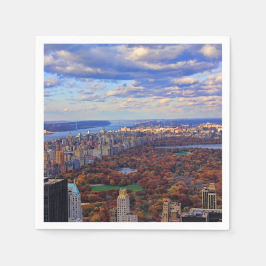 Serviette En Papier Vue d'en haut : Automne à Central Park 01 (Devant)