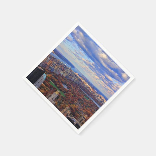 Serviette En Papier Vue d'en haut : Automne à Central Park 01 (Coin)