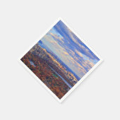 Serviette En Papier Vue d'en haut : Automne à Central Park 01 (Coin)