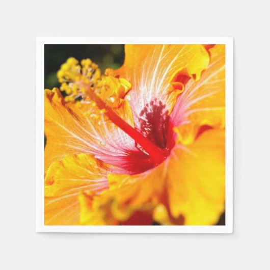Serviette En Papier Vue latérale de l'Hibiscus orange (Devant)