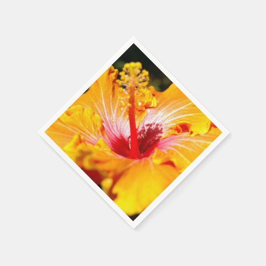 Serviette En Papier Vue latérale de l'Hibiscus orange (Coin)