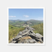 SERVIETTE EN PAPIER VUES DES ALLES (Devant)