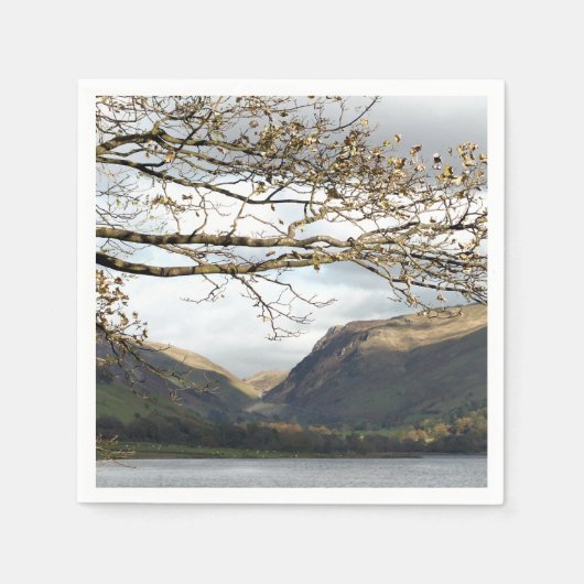 SERVIETTE EN PAPIER VUES DES ALLES (Devant)