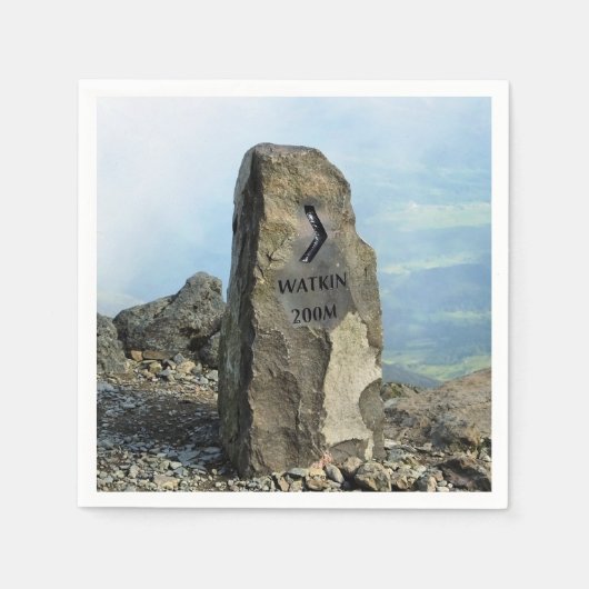 SERVIETTE EN PAPIER VUES DES ALLES (Devant)
