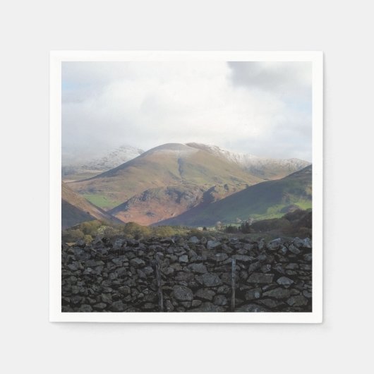 SERVIETTE EN PAPIER VUES DES ALLES (Devant)