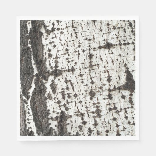Serviette En Papier Weathered birch trunk (Devant)