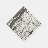Serviette En Papier Weathered birch trunk (Coin)