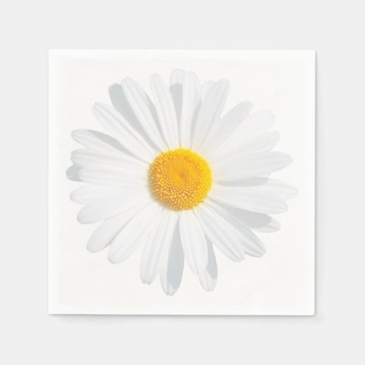 Serviette En Papier White (Devant)