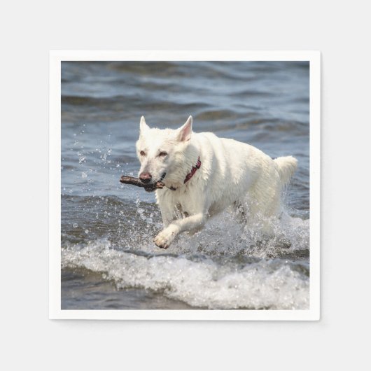 Serviette En Papier White German Shepard sur le lac George (Devant)