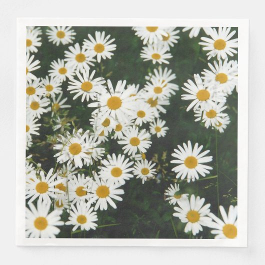 Serviette En Papier White Oxeye Daisy Meadow (Devant)