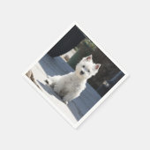 Serviette En Papier White West Highland Terrier assis sur le trottoir (Coin)