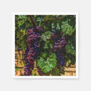 Serviette En Papier Winery Grapevine sunny tuscany vineyard