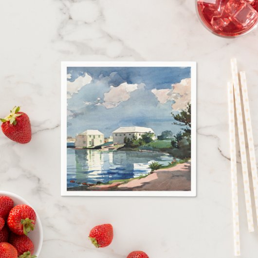 Serviette En Papier Winslow Homer, Bouilloire à sel, Bermudes (En situation)