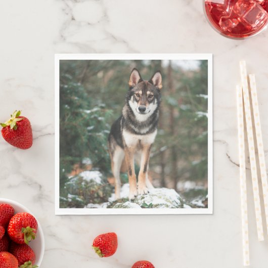 Serviette En Papier Wolfdog (En situation)