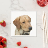 Serviette En Papier Yellow Labrador Retriever (En situation)