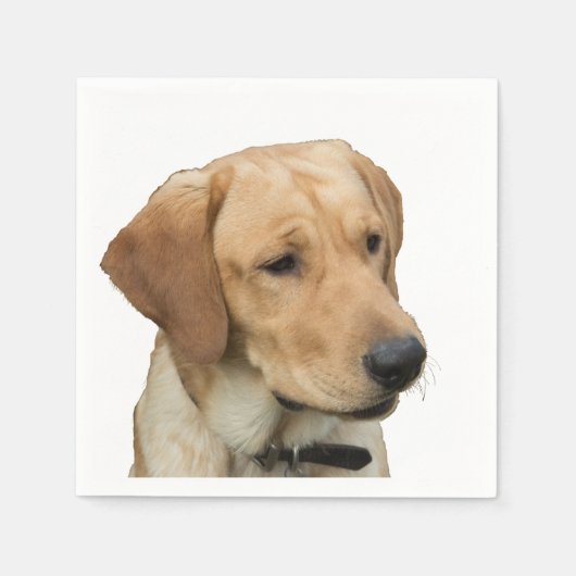Serviette En Papier Yellow Labrador Retriever (Devant)