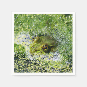 Serviette En Papier Yeux de grenouille dans un étang