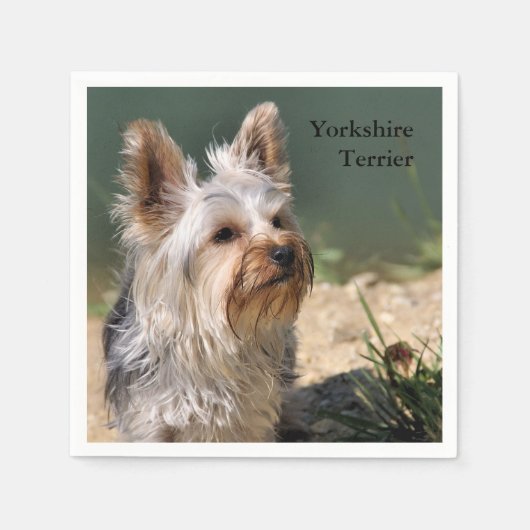 Serviette En Papier Yorkshire Terrier (Devant)