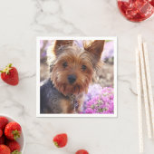 Serviette En Papier Yorkshire Terrier (En situation)
