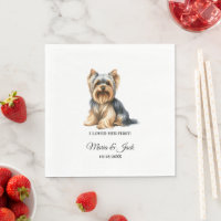 Yorkshire Terrier Chien J'Aimais Son Premier Maria