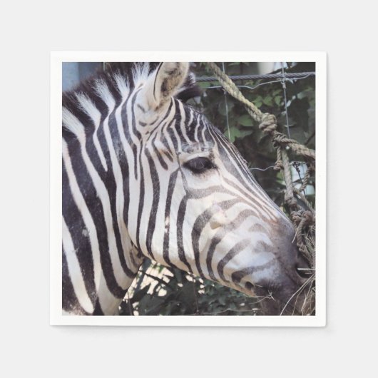 Serviette En Papier Zèbre (Devant)