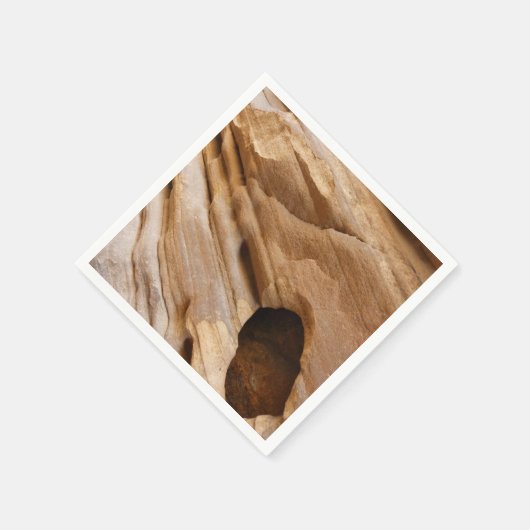 Serviette En Papier Zion Canyon Mur I Abstrait Nature Photographie (Coin)