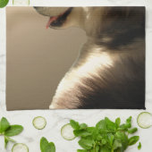 Serviette Husky Chien Husky Malamute Serviette de  (Plié)