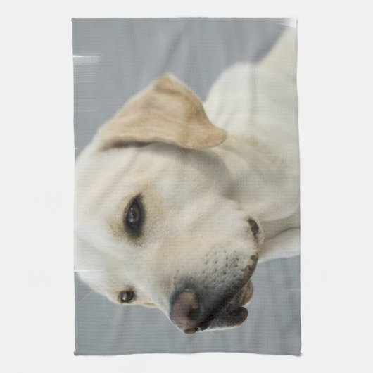 Serviette jaune de laboratoire (Vertical)