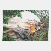 Serviette rugueuse de colley (Horizontal)