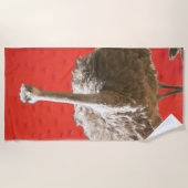 Serviette sud-africaine de plage d'Ostrich (Devant)